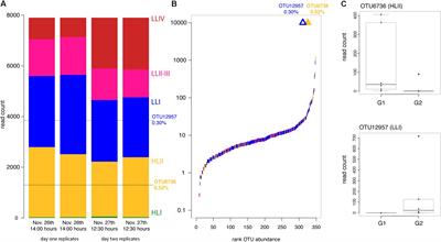 Differential Activity of Coexisting Prochlorococcus Ecotypes